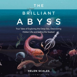 Bertrand.pt - The Brilliant Abyss