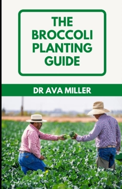 Bertrand.pt - The Broccoli Planting Guide