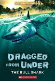 The Bull Shark