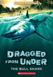 The Bull Shark
