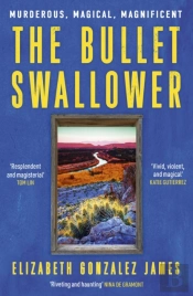 The Bullet Swallower