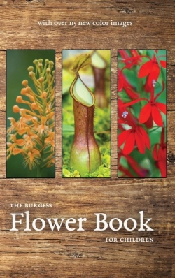 Bertrand.pt - The Burgess Flower Book With New Color Images