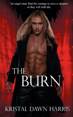 Bertrand.pt - The Burn