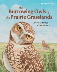The Burrowing Owls Of The Prairie Grasslands