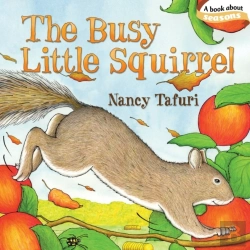 Bertrand.pt - The Busy Little Squirrel