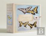 The Butterflies Of Titian Ramsay Peale Notecards