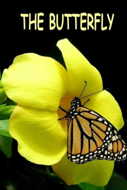 Bertrand.pt - The Butterfly