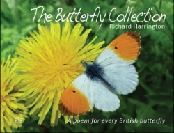 Bertrand.pt - The Butterfly Collection
