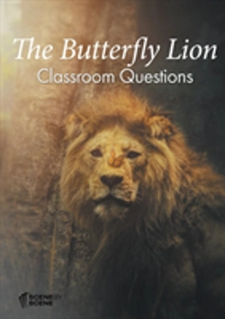 Bertrand.pt - The Butterfly Lion Classroom Questions