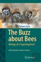 The Buzz About Bees
