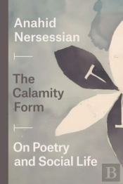 The Calamity Form Â€“ On Poetry And Social Life