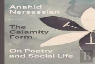 The Calamity Form Â€“ On Poetry And Social Life