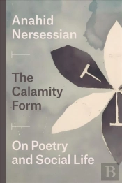 The Calamity Form Â€“ On Poetry And Social Life