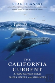 The California Current