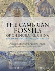 The Cambrian Fossils Of Chengjiang, China