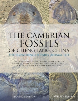 Bertrand.pt - The Cambrian Fossils Of Chengjiang, China