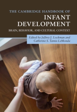 Bertrand.pt - The Cambridge Handbook Of Infant Development