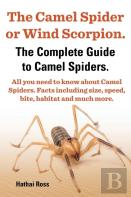 The Camel Spider Or Wind Scorpion, The Complete Guide To Camel Spiders.