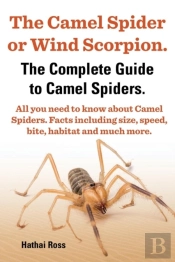The Camel Spider Or Wind Scorpion, The Complete Guide To Camel Spiders.