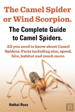 Bertrand.pt - The Camel Spider Or Wind Scorpion, The Complete Guide To Camel Spiders.