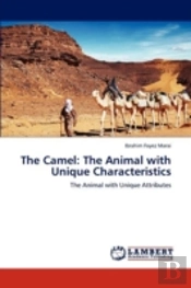 The Camel: The Animal With Unique Characteristics