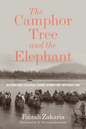 The Camphor Tree And The Elephant