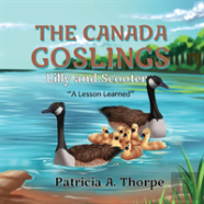 The Canada Goslings