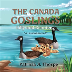 Bertrand.pt - The Canada Goslings