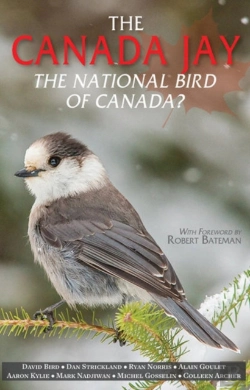 Bertrand.pt - The Canada Jay