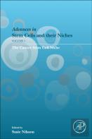The Cancer Stem Cell Niche