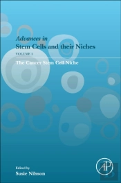 The Cancer Stem Cell Niche