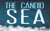 The Candid Sea