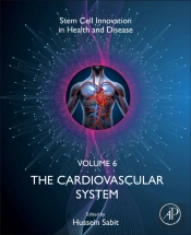 The Cardiovascular System