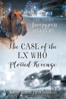 The Case Of The Ex Who Plotted Revenge