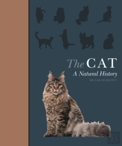 Bertrand.pt - The Cat