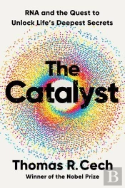 The Catalyst