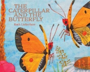 The Caterpillar And The Butterfly
