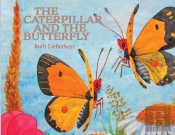 The Caterpillar And The Butterfly