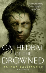 The Cathedral Of The Drowned