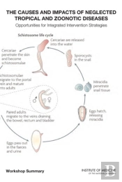 The Causes And Impacts Of Neglected Tropical And Zoonotic Diseases