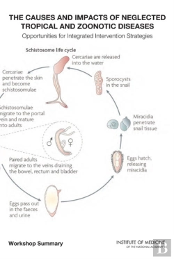 Bertrand.pt - The Causes And Impacts Of Neglected Tropical And Zoonotic Diseases