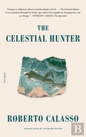 The Celestial Hunter