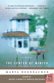 The Center Of Winter