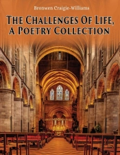 The Challenges Of Life