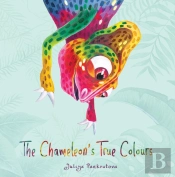 The Chameleon'S True Colours