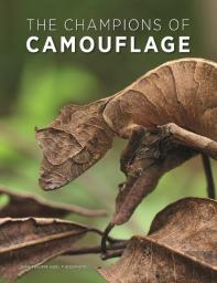 The Champions Of Camouflage