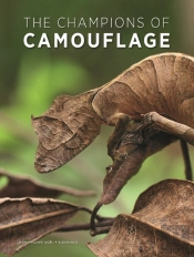 The Champions Of Camouflage