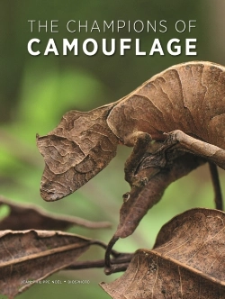Bertrand.pt - The Champions Of Camouflage