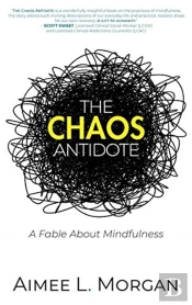 The Chaos Antidote