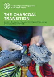 The Charcoal Transition